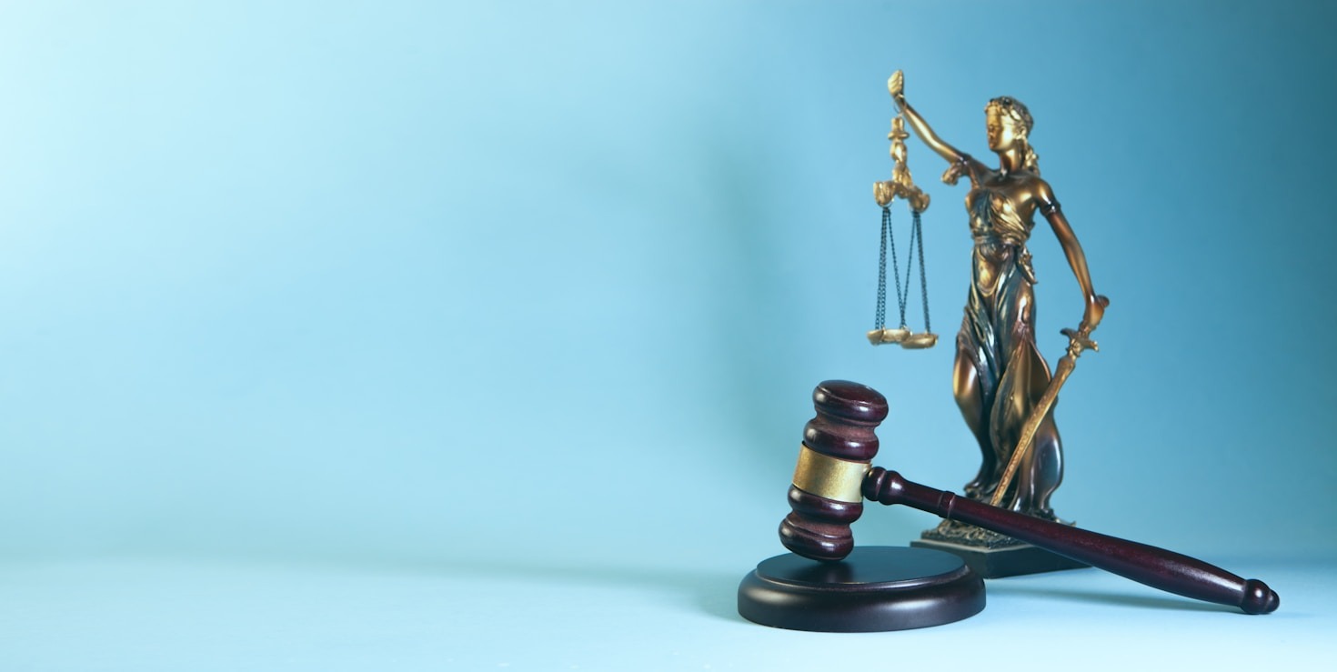How Professional Advocacy Protects Your Business Future